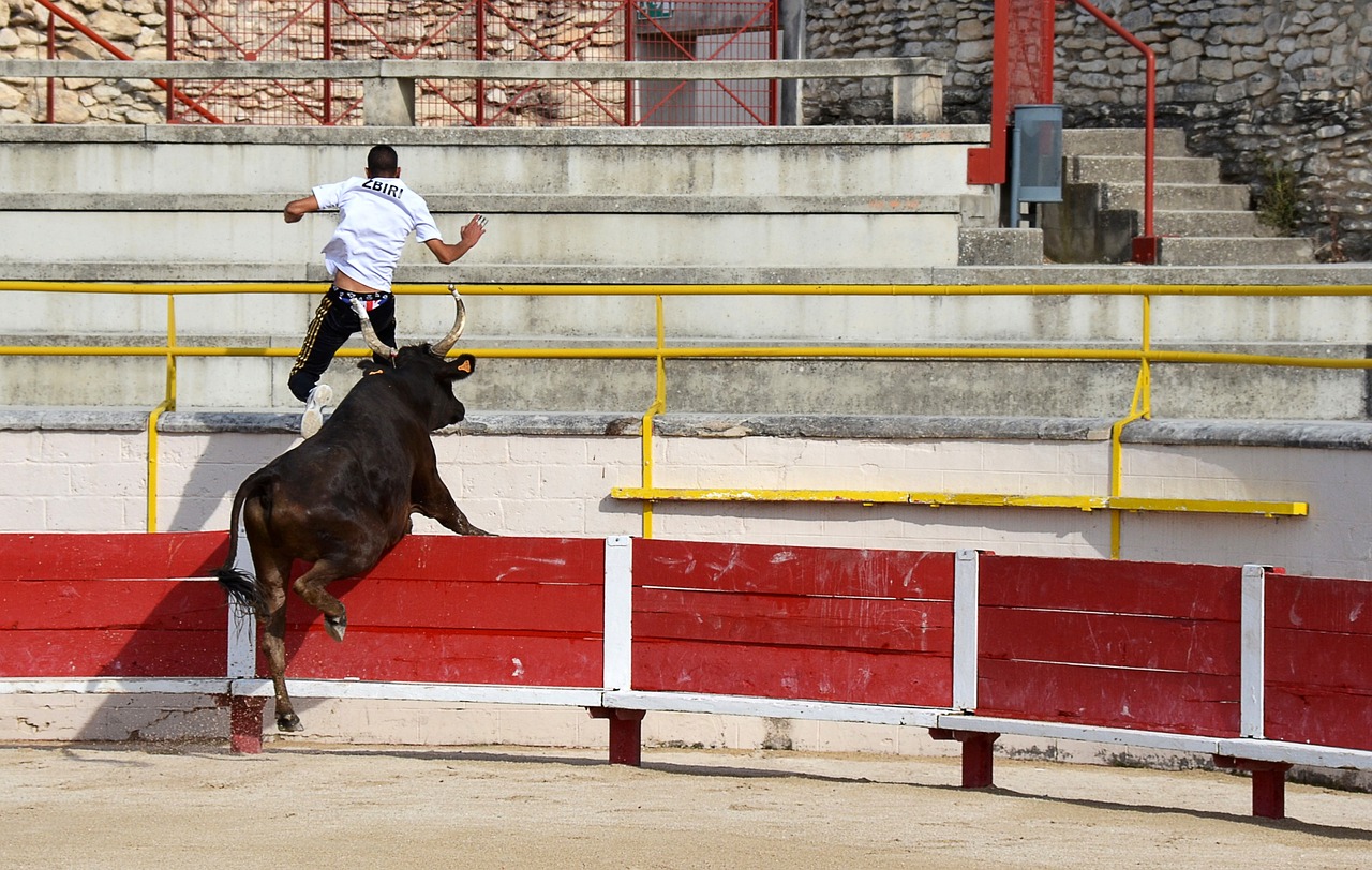 年澳新女足