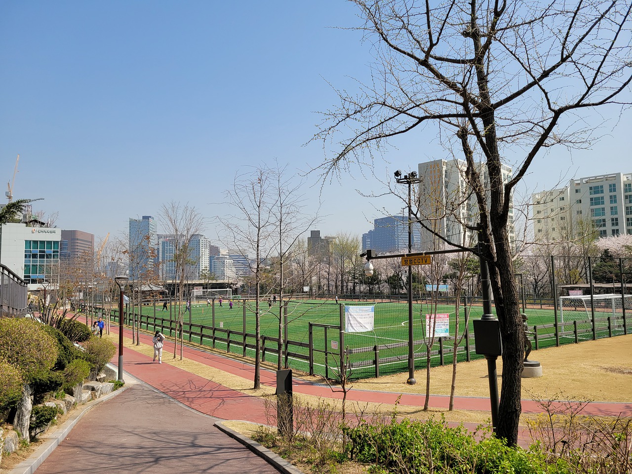 入籍带给他