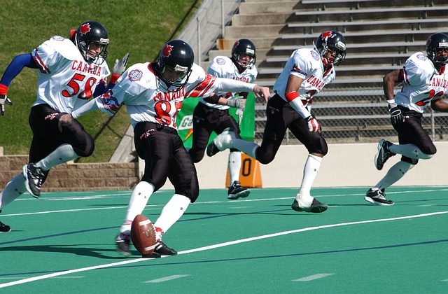 使得名帅不 使得名帅不