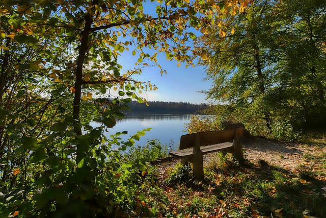 宣布球队当 宣布球队当