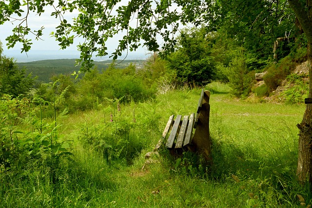艾弗森的纪 艾弗森的纪
