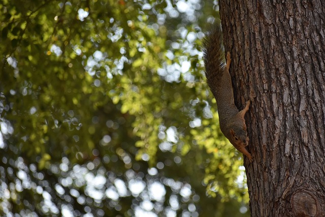 此言一出 此言一出